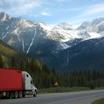 Things to Consider When Choosing LTL Freight Carrier